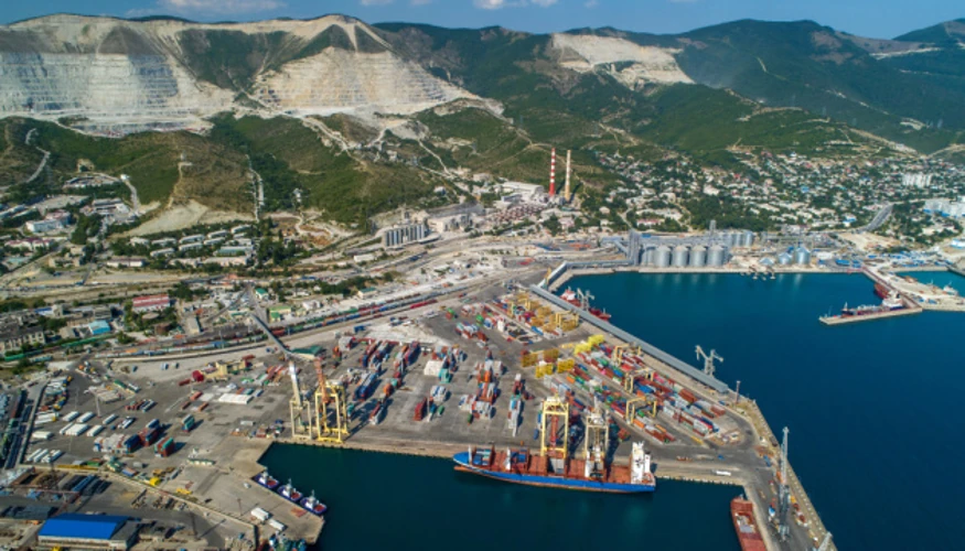 MSC призупинила бронювання до Новоросійська: дата рішення та підтверджені факти